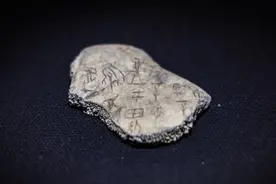 “冷门绝学”迎来最好的发展时期图片