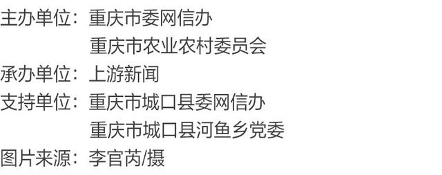 渝见好“村”光 | 林麓星居：城口县河鱼乡两扇门村