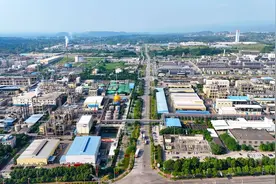 广安经开区 绿色植保绘就千亿产业新蓝图图片