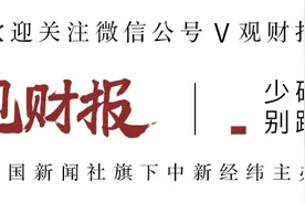 V观财报｜盛航股份大换血！董事长李桃元等9人辞职图片