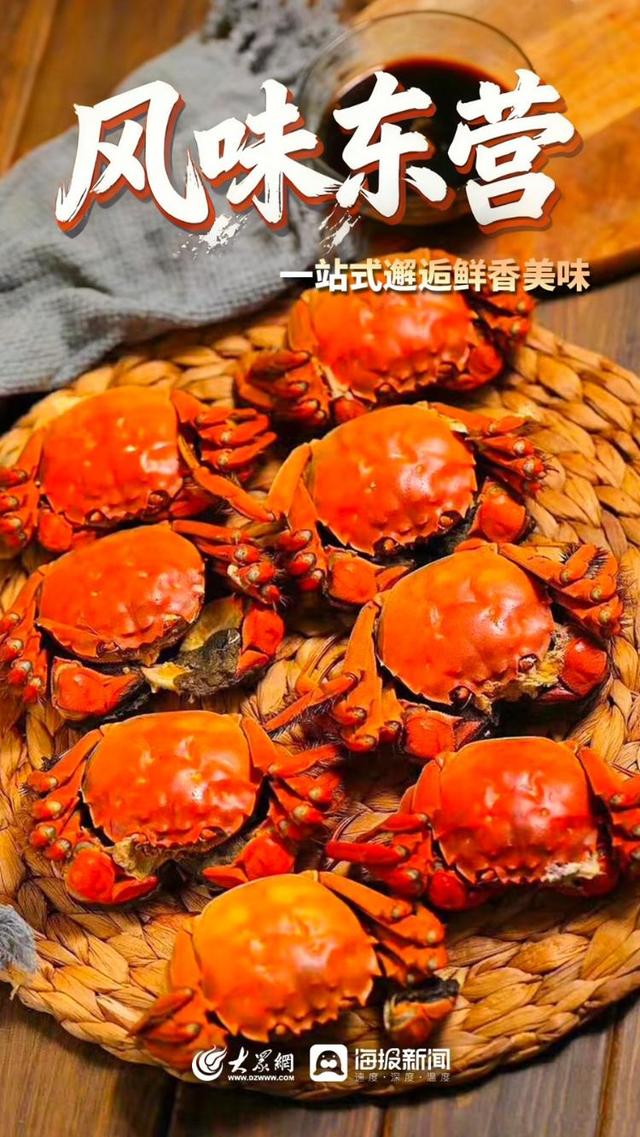 乐享金秋 漫游东营 | 金秋时节 你准备好来东营了吗？