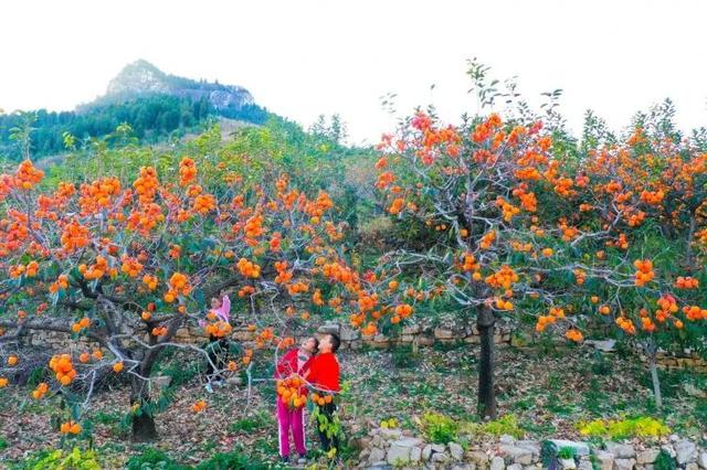 总是会反复爱上潍坊的秋天！