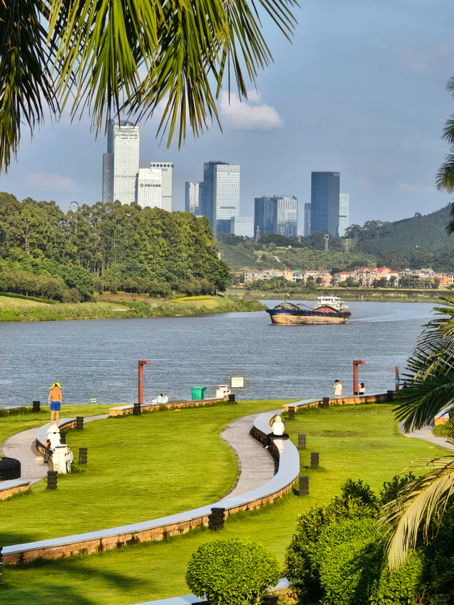 秋染良庆！异木棉粉、三角梅艳，这片土地藏着最缤纷的秋日浪漫