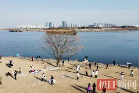 襄阳襄州有棵孤独树，被网友在地图上标注成地名图片