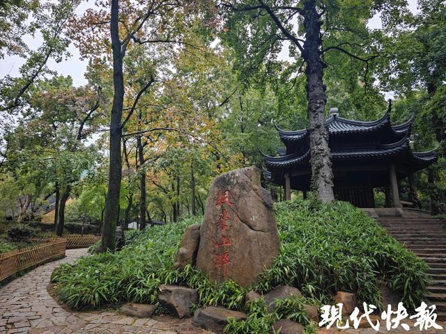 官宣！天平山红枫进入观赏期