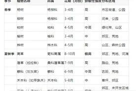 春季花粉期已至，医生提醒：建议提前两周进行预防性治疗图片