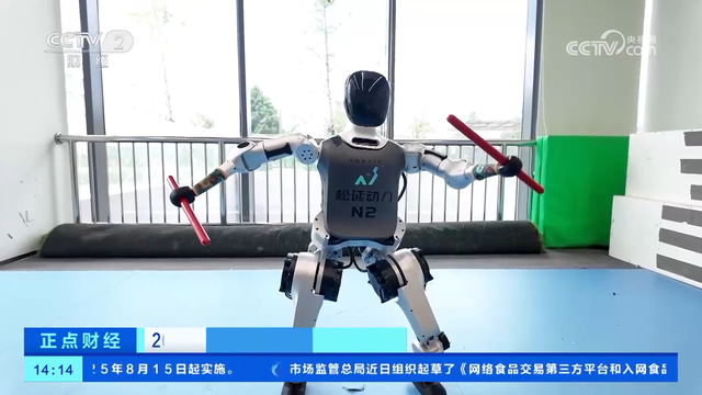 2025世界人形机器人运动会：人机共舞 机器人用技术展现艺术