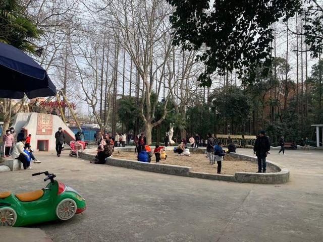 这个滑梯你小时候玩过吗？杨浦公园改造，始于上世纪60年代的大象滑梯全新亮相，还带来一个儿童乐园