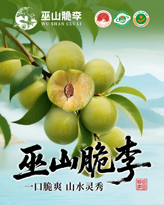 走！国庆假期到南坪去逛重庆文博会