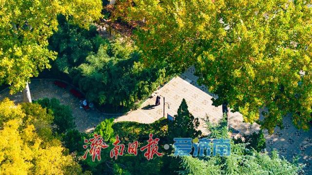 一年四季 泉在济南丨百年园林景如画：中山公园开启最美赏叶季