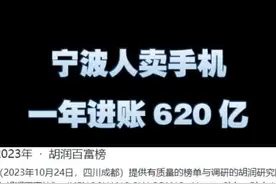 宁波商人卖手机，一年进账620亿图片