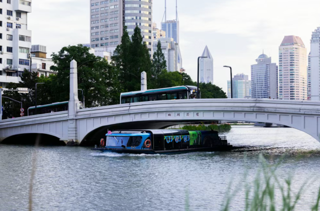 双子山轻登、巴士穿城、江河夜游，我们为你整理了一份上海秋色榜单｜沪上金秋进博榜