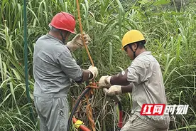 国网醴陵市供电公司：带电作业新突破 高效保障电力供应图片