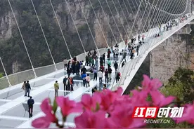 张家界大峡谷风景区：玩高空蹦极 户外运动享假期（组图）图片