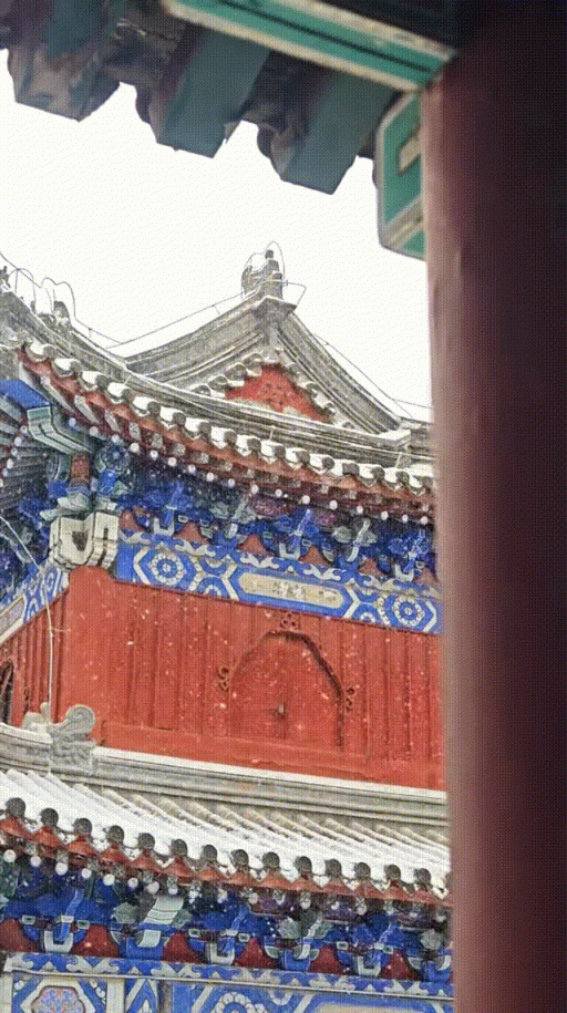 雪中的房山真美