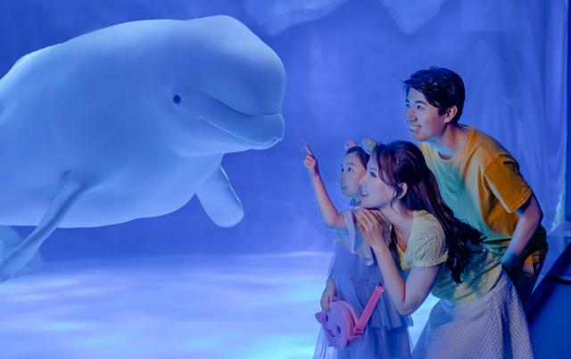 耀雪、海昌双园焕新升级，解锁临港冬日度假新玩法