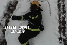 “蓝朋友”雪地里撒欢儿 网友：谁还不是个孩子呢图片