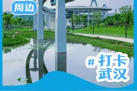 空轨游玩攻略出炉！图片