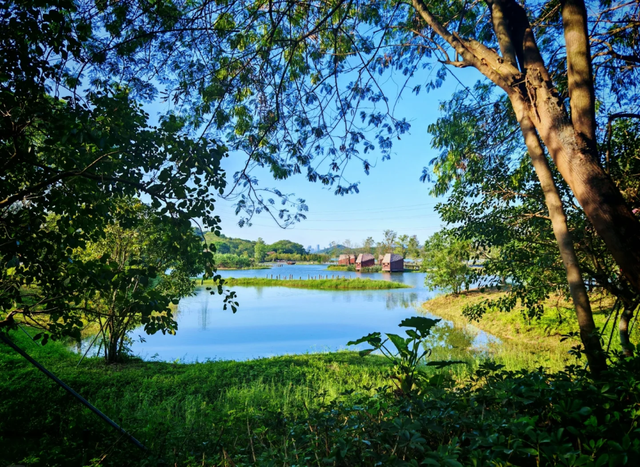 双节“反向旅游”？宝安这几个冷门地，人少景也美