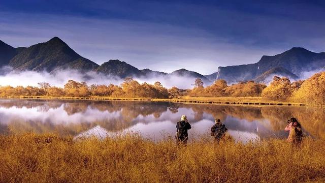 出片率100%！湖北的秋天太卷了