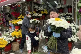 一线探访丨买束花寄哀思！菊花价格翻番仍热销，有店家一天售出两万枝图片