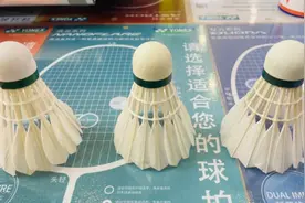 “球市太旺了！”部分羽毛球价格大涨，球友开始寻找“平替球”图片
