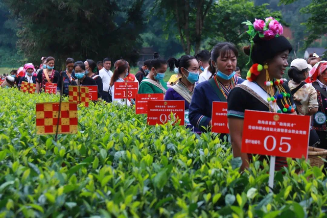 高温退！退！退！云南八月放“凉”招