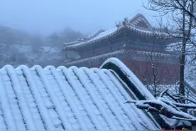 望岳组图丨雪落泰山，寒酥舞空，水墨丹青绘琼峦图片