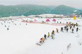 武隆仙女山： 优惠政策引客来图片