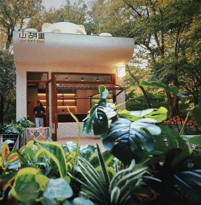 对对对！在山里喝咖啡就去那个地方！