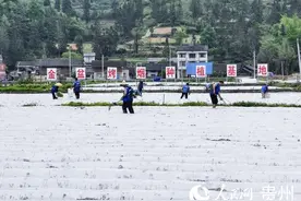 贵州：打好发展“组合拳”助力烟农“奔富路”图片