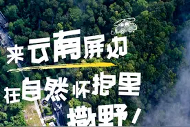 来云南屏边，在自然怀抱里撒野！图片