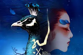 “孔雀”今起绽放山城！杨丽萍特别出演舞剧《孔雀》重庆大剧院连演四场图片