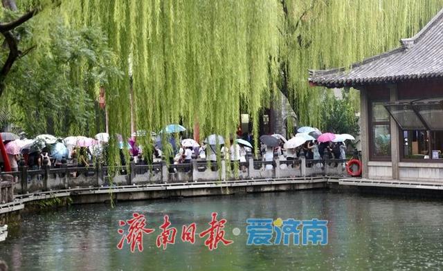 雨中赏泉，济南趵突泉似江南画卷