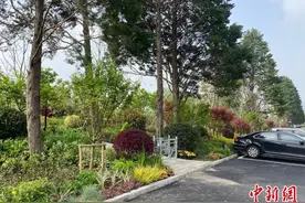 上海最大免费公园24小时开放 公园与街区无界融合图片