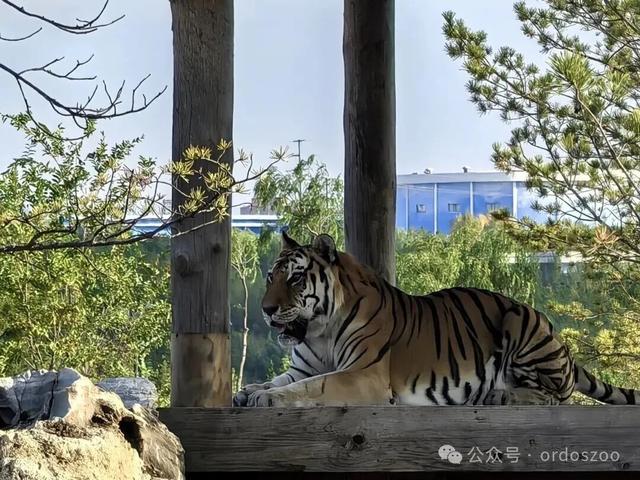 10月27日！鄂野自驾开启，解锁秋日野趣新玩法！