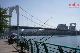 为期4个月！广西即将禁止→图片