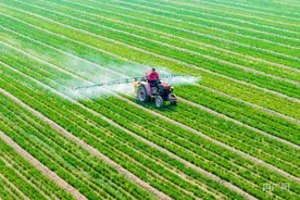 万象“耕”新丨河南安阳滑县：小麦返青管护忙图片