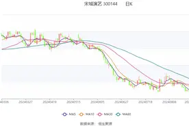 宋城演艺：2024年上半年净利润5.50亿元 同比增长81.75%图片