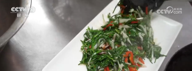 “田园风光+潮流玩法”成文旅融合新亮点 乡村旅游新消费活力十足