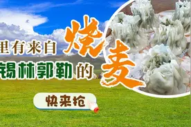 就知道吃丨这里有来自内蒙古的烧麦，实打实的鲜美图片