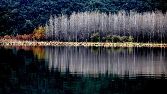 央视新闻客户端：冬日普者黑 这样的流动山水画宛如仙境……