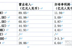 美妆年报观察② 丨珀莱雅领衔国货美妆 上美股份、水羊股份追赶凶猛图片