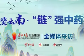 投资云南“链”强中药材丨做强企业 打造云药高质量发展新引擎图片