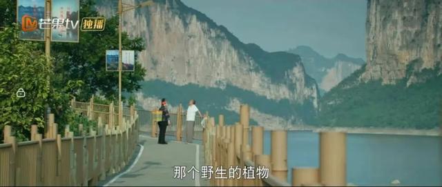 《乌蒙深处》这些取景地，你打卡了几个？