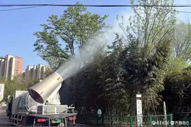 给“白毛毛”称重，他们在聊城和树较上了劲：新树种长啥样？图片