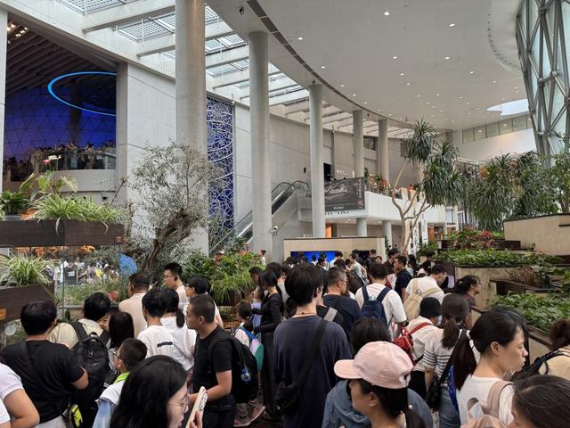 暑期过半：多地热门景区门票连日售罄