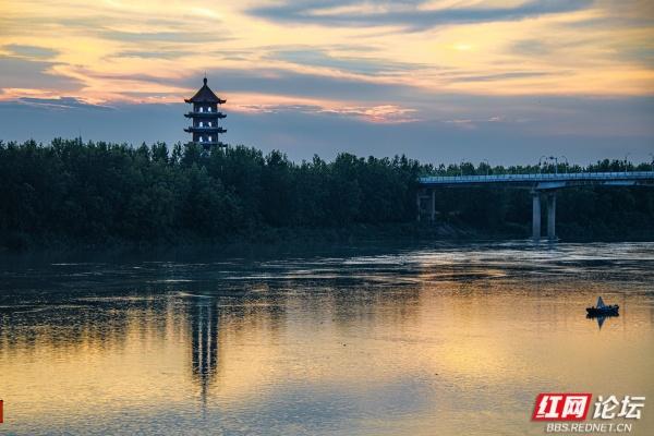 安乡书院洲：把时光慢放的傍晚湿地