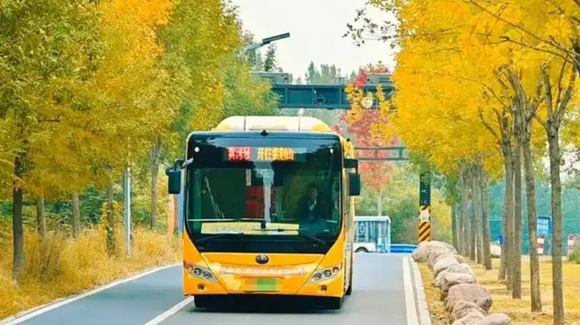 大部分免费！郑州本周（11月5日-11月9日）活动汇总！