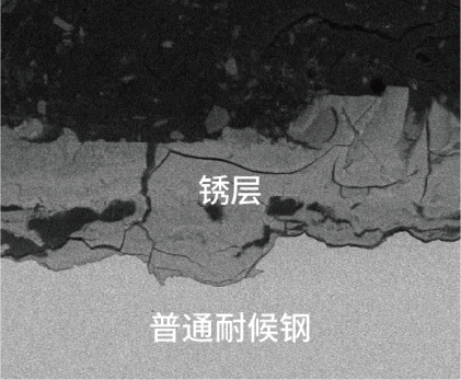 一个反常识的知识点：钢“生锈”，反而是好事？